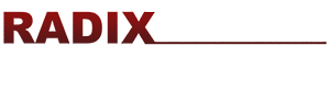 Radix Analytics Pvt Ltd