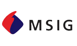MSIG