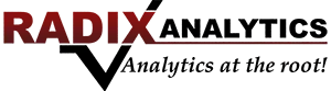 Radix Analytics Pvt Ltd