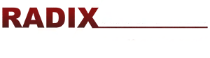Radix Analytics Pvt Ltd